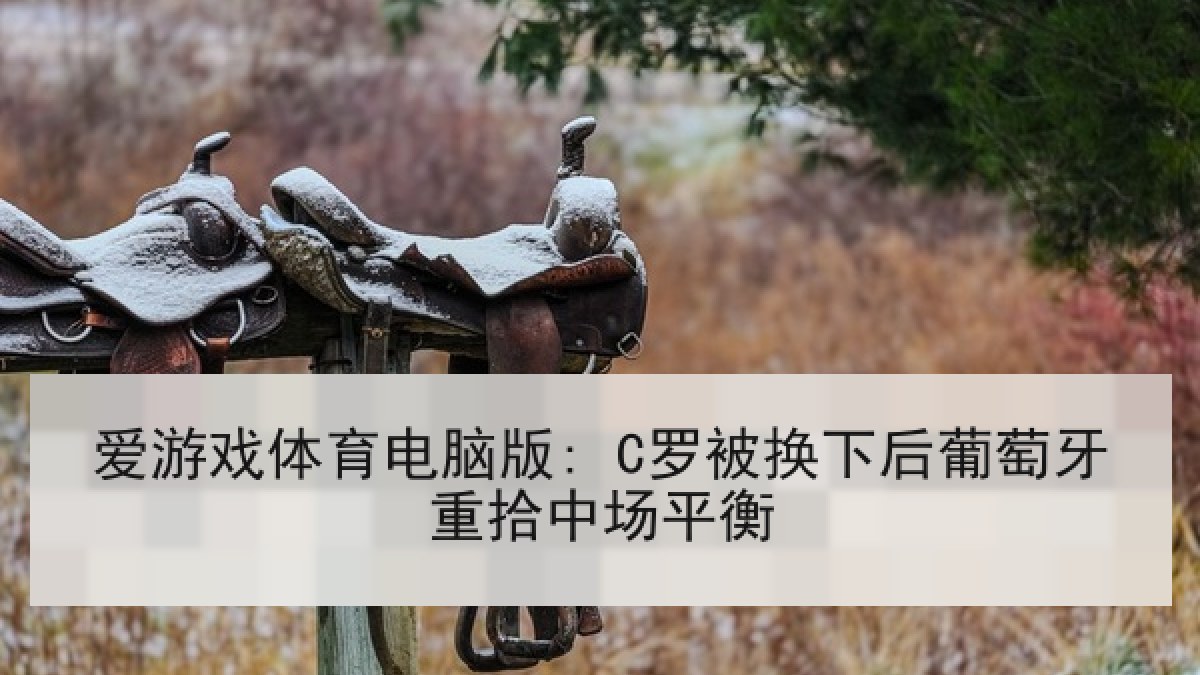 爱游戏体育电脑版: C罗被换下后葡萄牙重拾中场平衡