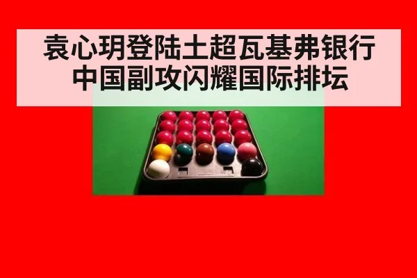 袁心玥登陆土超瓦基弗银行 中国副攻闪耀国际排坛